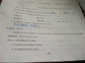 平安校園作文350到400字左右