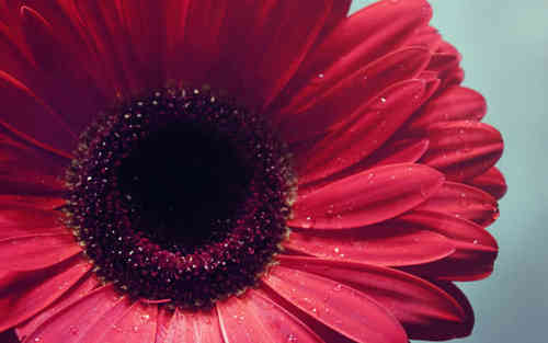 被拋棄的傷感說(shuō)說(shuō)（70條）