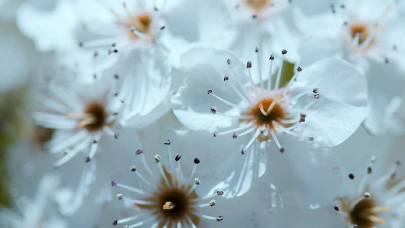 qq女生的傷感說(shuō)說(shuō)（70條）